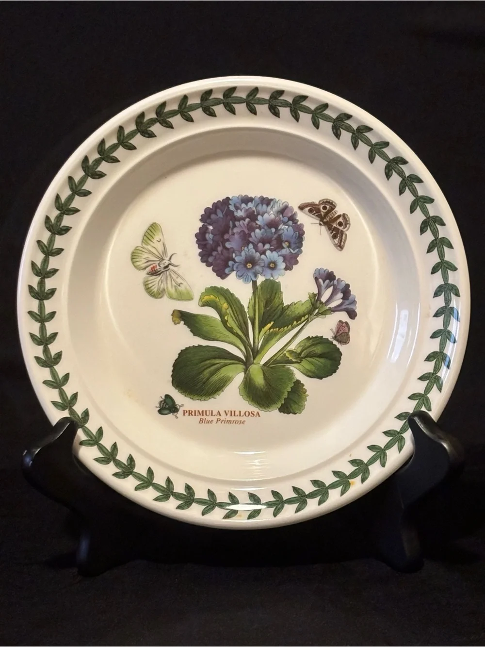 Portmeirion Botanic Garden Primula Villosa 7” Side Plate